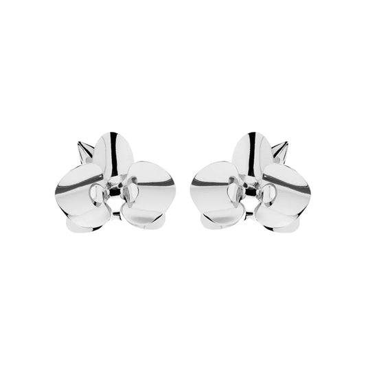 Evolua Earrings